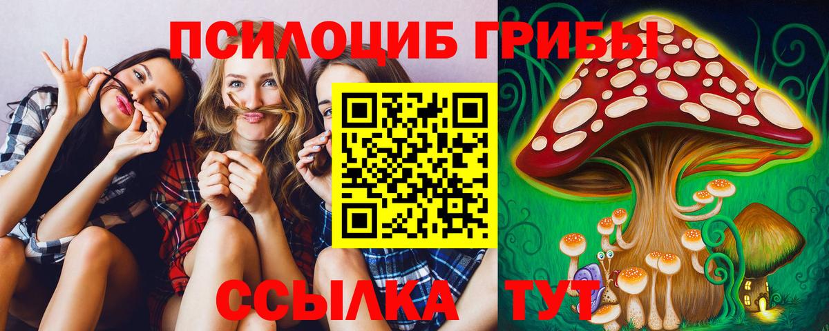 Донской  Галлюциногенные грибы мицелий  Вход с VPN  Галлюциногенные грибы Magic Shrooms 