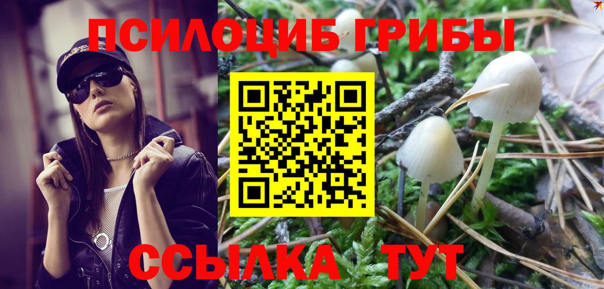 Псилоцибиновые грибы прущие грибы Донской